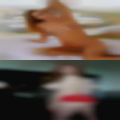 Florida like